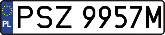 PSZ9957M