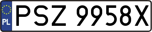 PSZ9958X