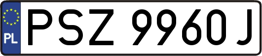 PSZ9960J