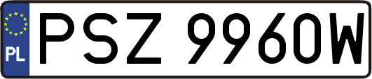 PSZ9960W