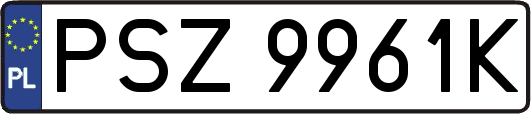 PSZ9961K