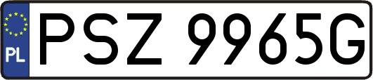 PSZ9965G