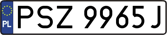 PSZ9965J
