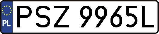 PSZ9965L