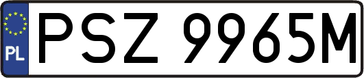 PSZ9965M