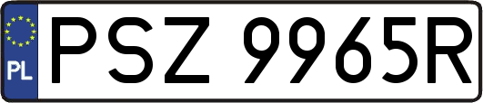 PSZ9965R