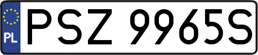 PSZ9965S
