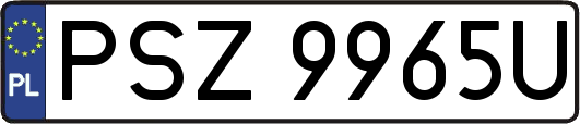PSZ9965U