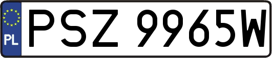 PSZ9965W