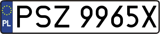 PSZ9965X