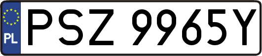 PSZ9965Y