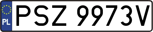 PSZ9973V