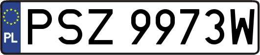 PSZ9973W
