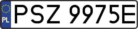 PSZ9975E