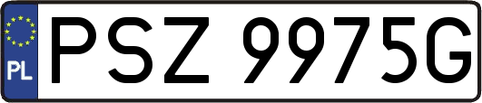 PSZ9975G
