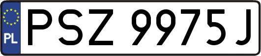 PSZ9975J