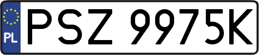 PSZ9975K