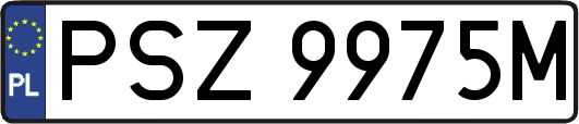 PSZ9975M
