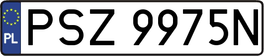 PSZ9975N