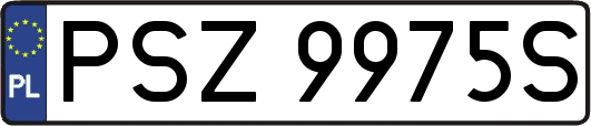 PSZ9975S