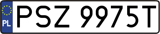 PSZ9975T