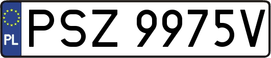 PSZ9975V