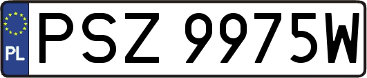 PSZ9975W