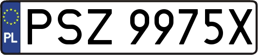 PSZ9975X