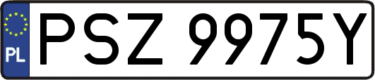 PSZ9975Y