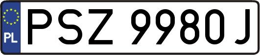 PSZ9980J