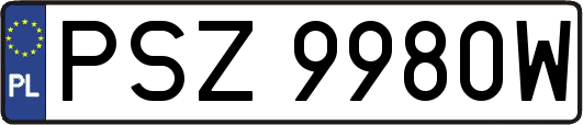 PSZ9980W