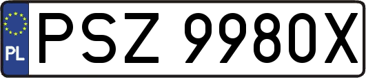 PSZ9980X