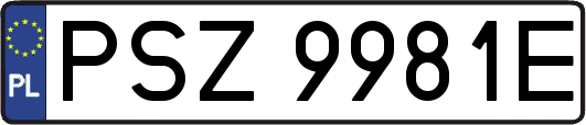 PSZ9981E