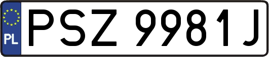 PSZ9981J