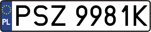 PSZ9981K