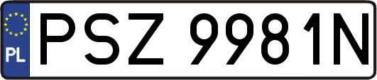 PSZ9981N