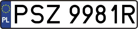 PSZ9981R