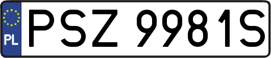 PSZ9981S