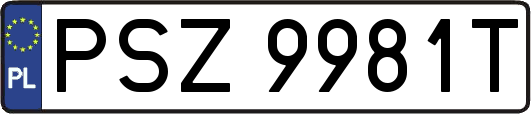 PSZ9981T