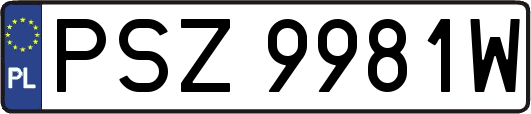 PSZ9981W