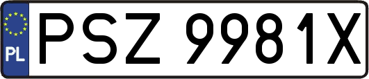 PSZ9981X