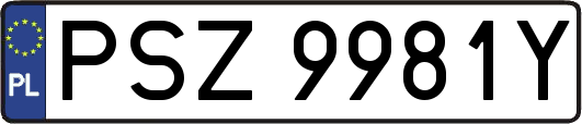 PSZ9981Y