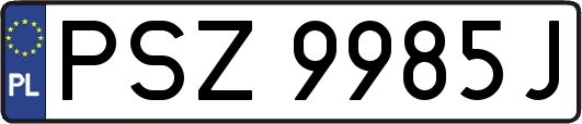 PSZ9985J