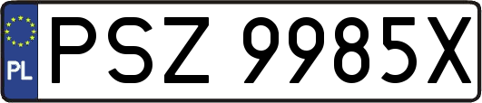 PSZ9985X