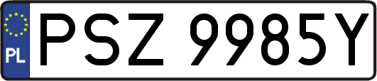 PSZ9985Y