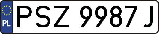 PSZ9987J