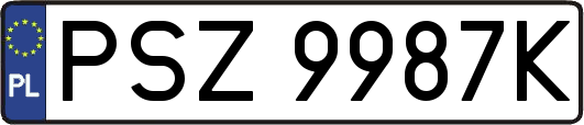 PSZ9987K