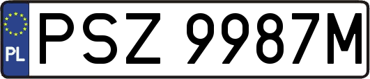PSZ9987M