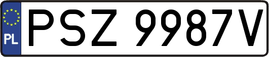 PSZ9987V