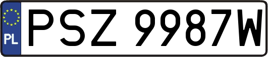 PSZ9987W